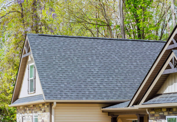 Best Roof Moss and Algae Removal  in Robbins, IL